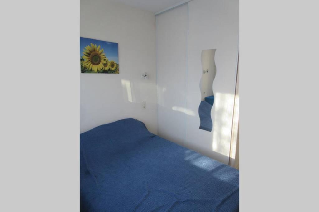 Apt Climatisé T3 Saint Pierre La Mer, terrasse, jardin et parking privé Fleury  Extérieur photo